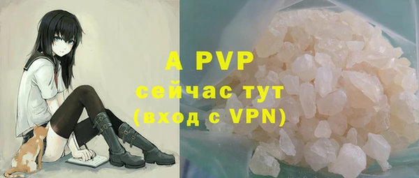 СК Верея