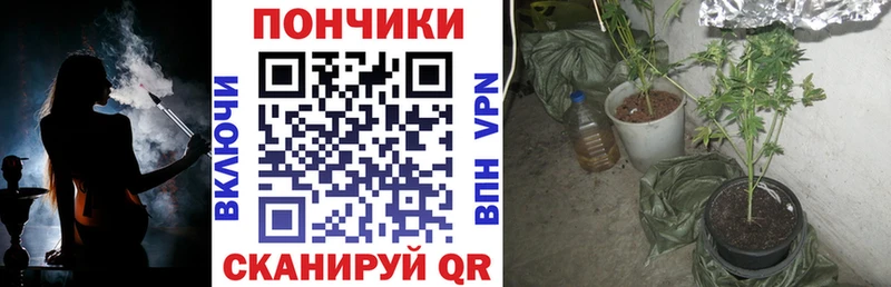 Шишки марихуана THC 21%  Купить закладки  Михайловск 
